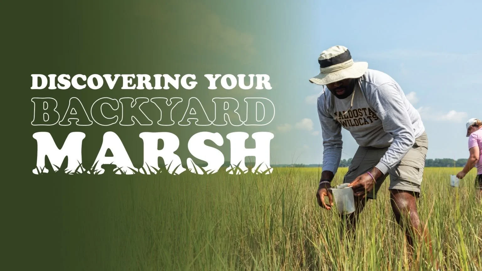 Discovering Your Backyard Marsh