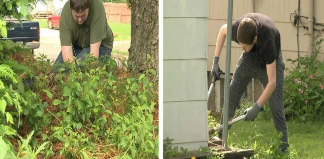 school-gives-students-pe-credits-for-helping-elderly-and-people-with-disabilities-do-yard-work-650x319.jpg