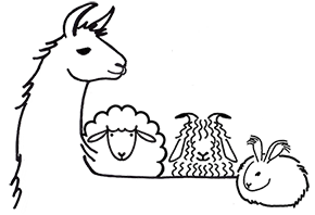 Introduction to Wheel Spinning - Vermont Sheep &amp; Wool