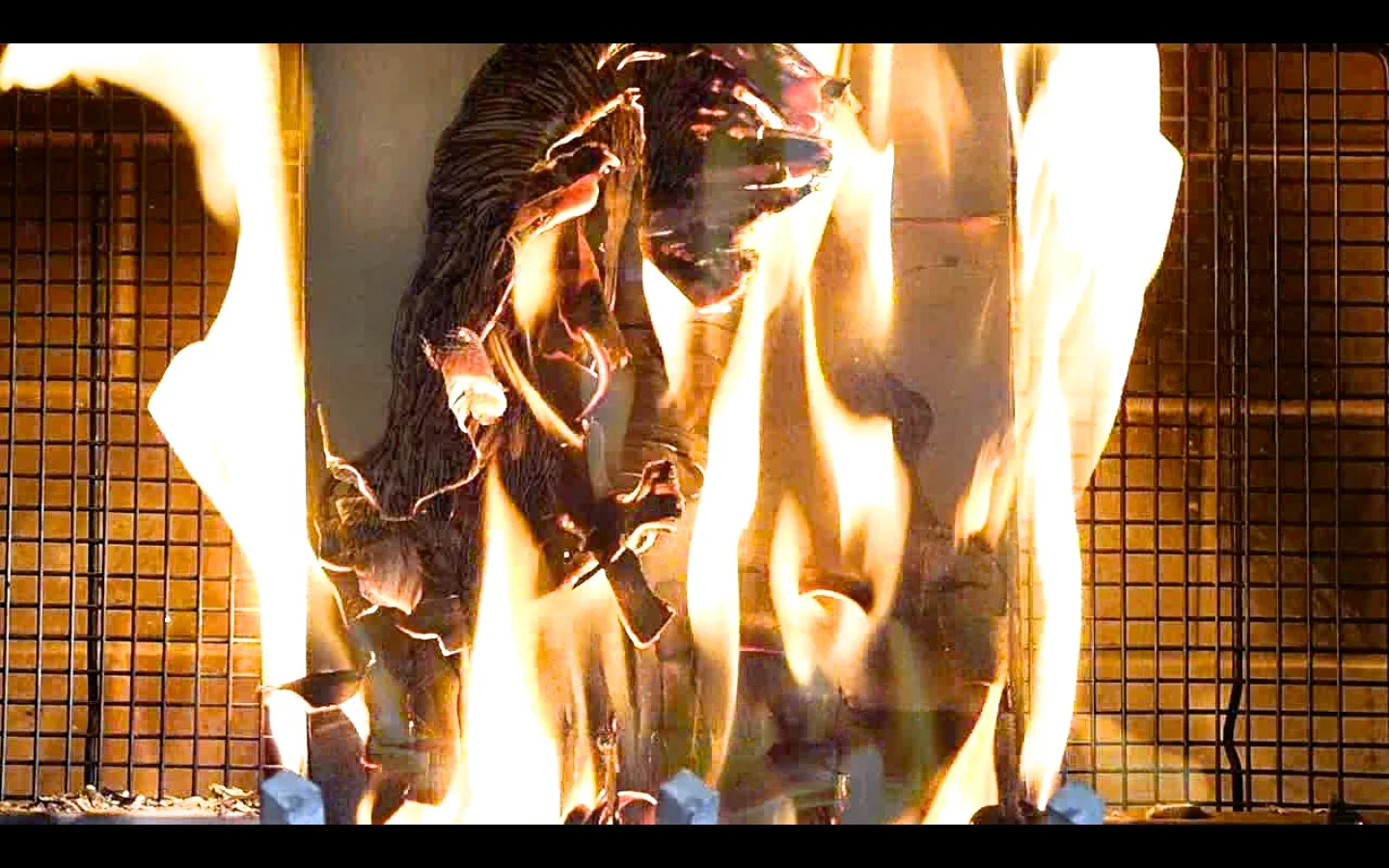 Still from Destruction, Letting Go of My Birth Mother