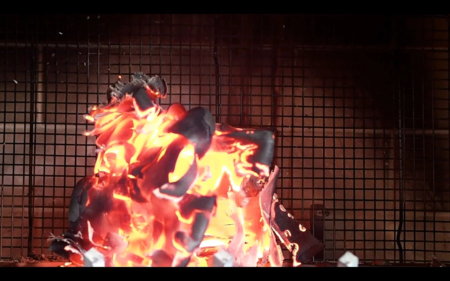 Still from Destruction, Letting Go of My Birth Mother
