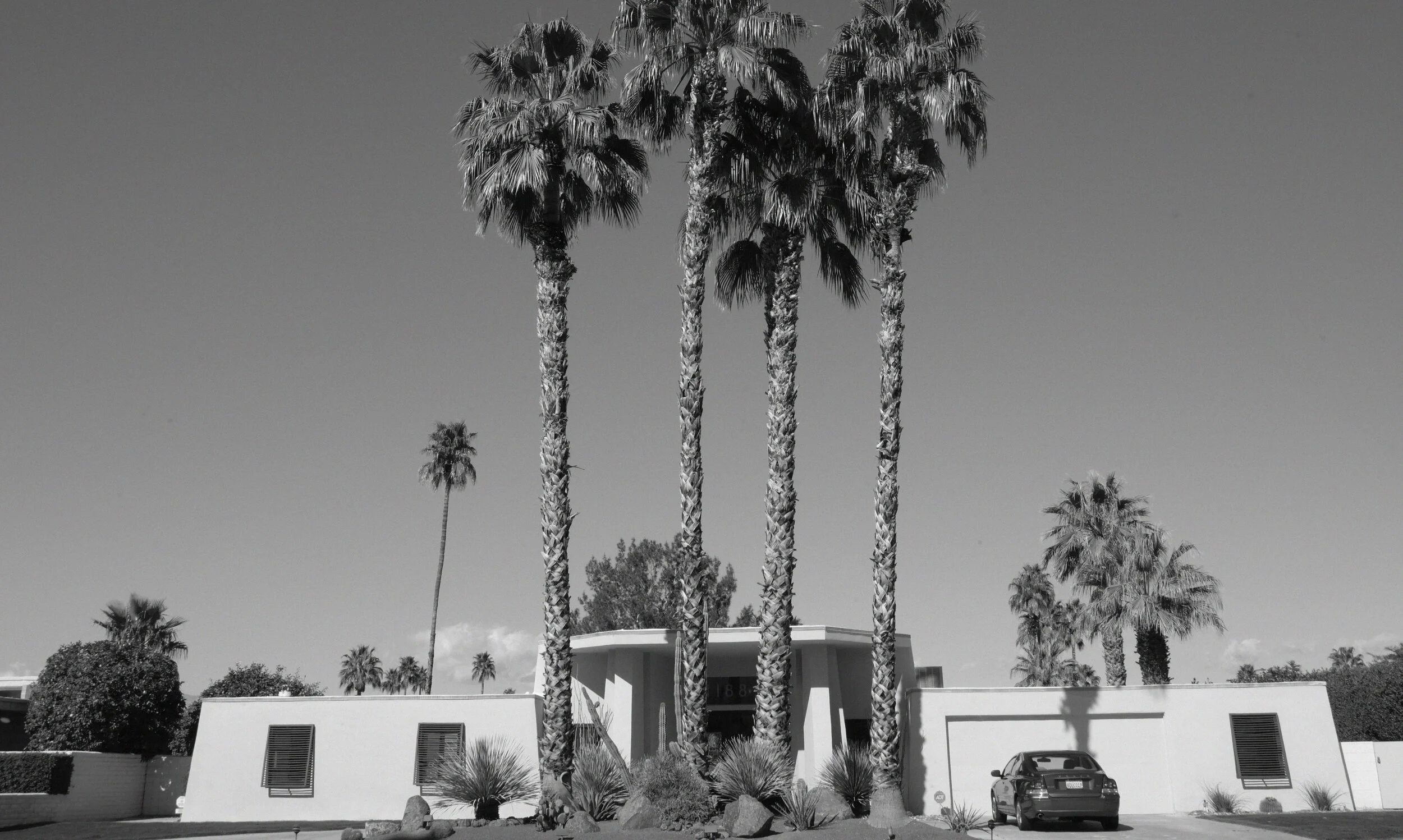 Background image resized.jpg