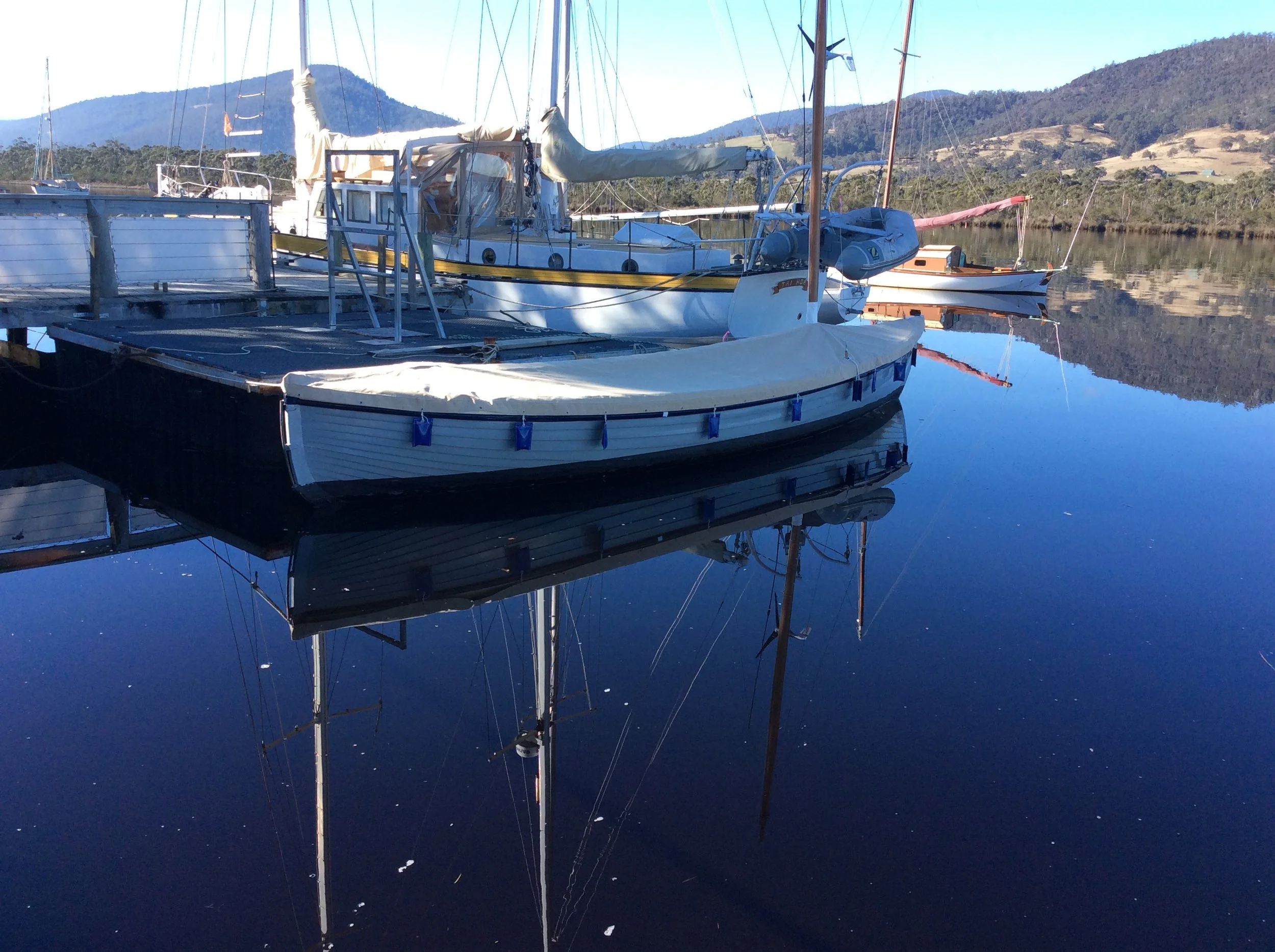 Monty cover courtesy of Huon Valley Council