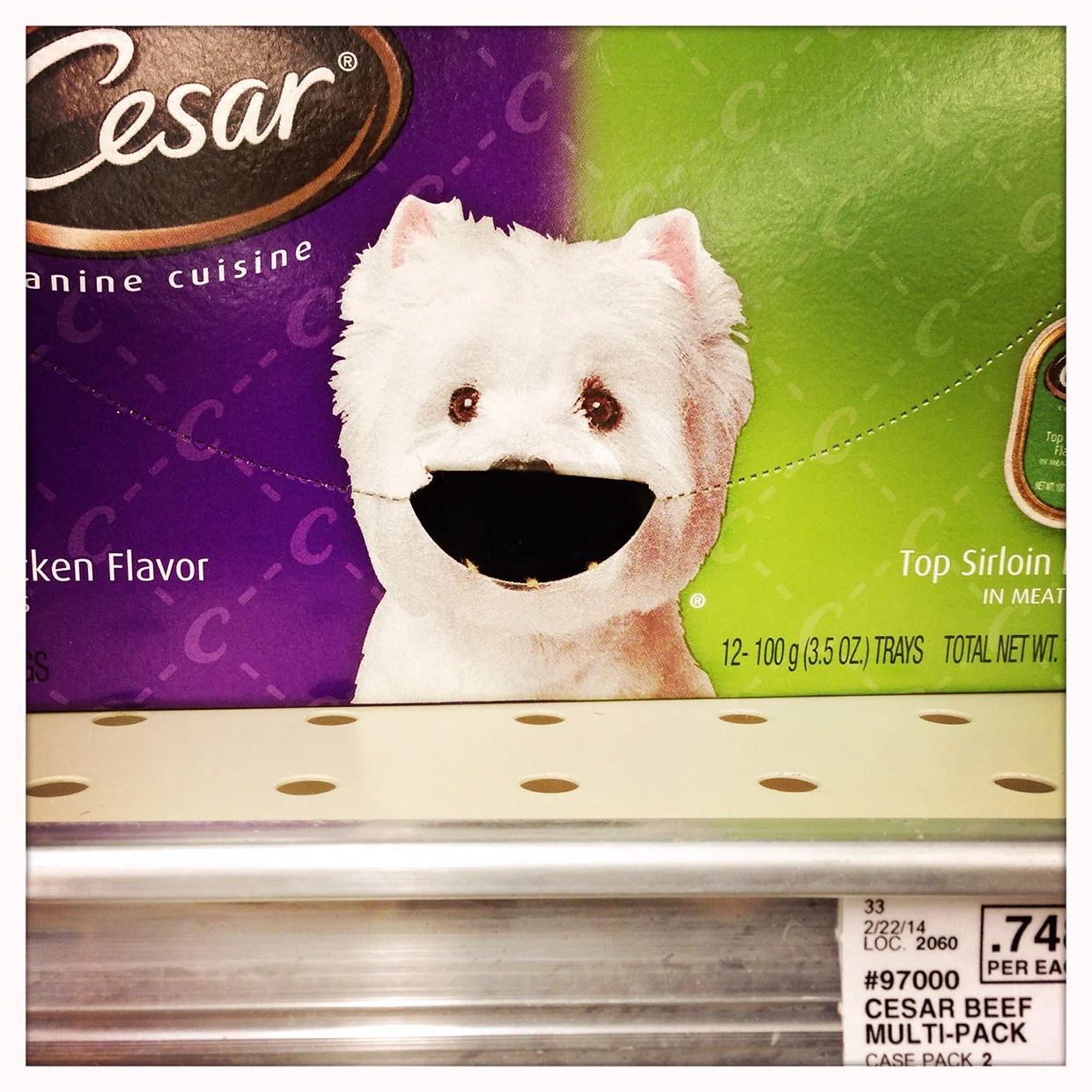 webcesar.jpg