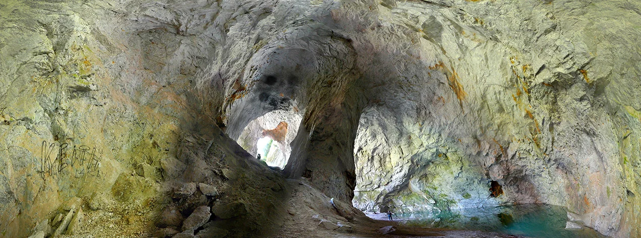webHootOwlMine copy.jpg