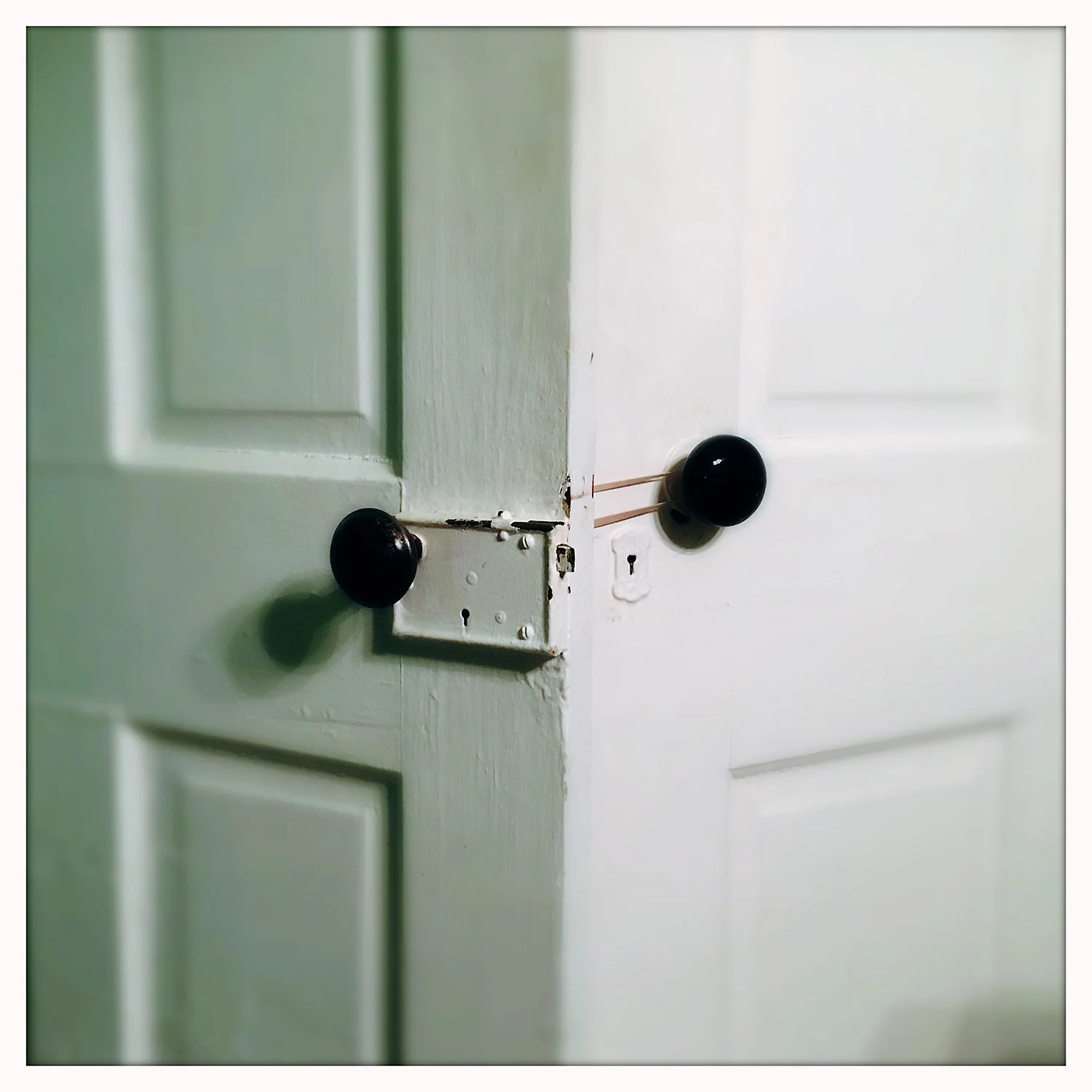 doors copy.jpg