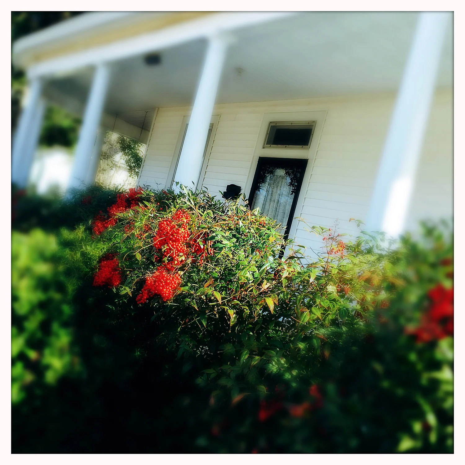 housefront.jpg
