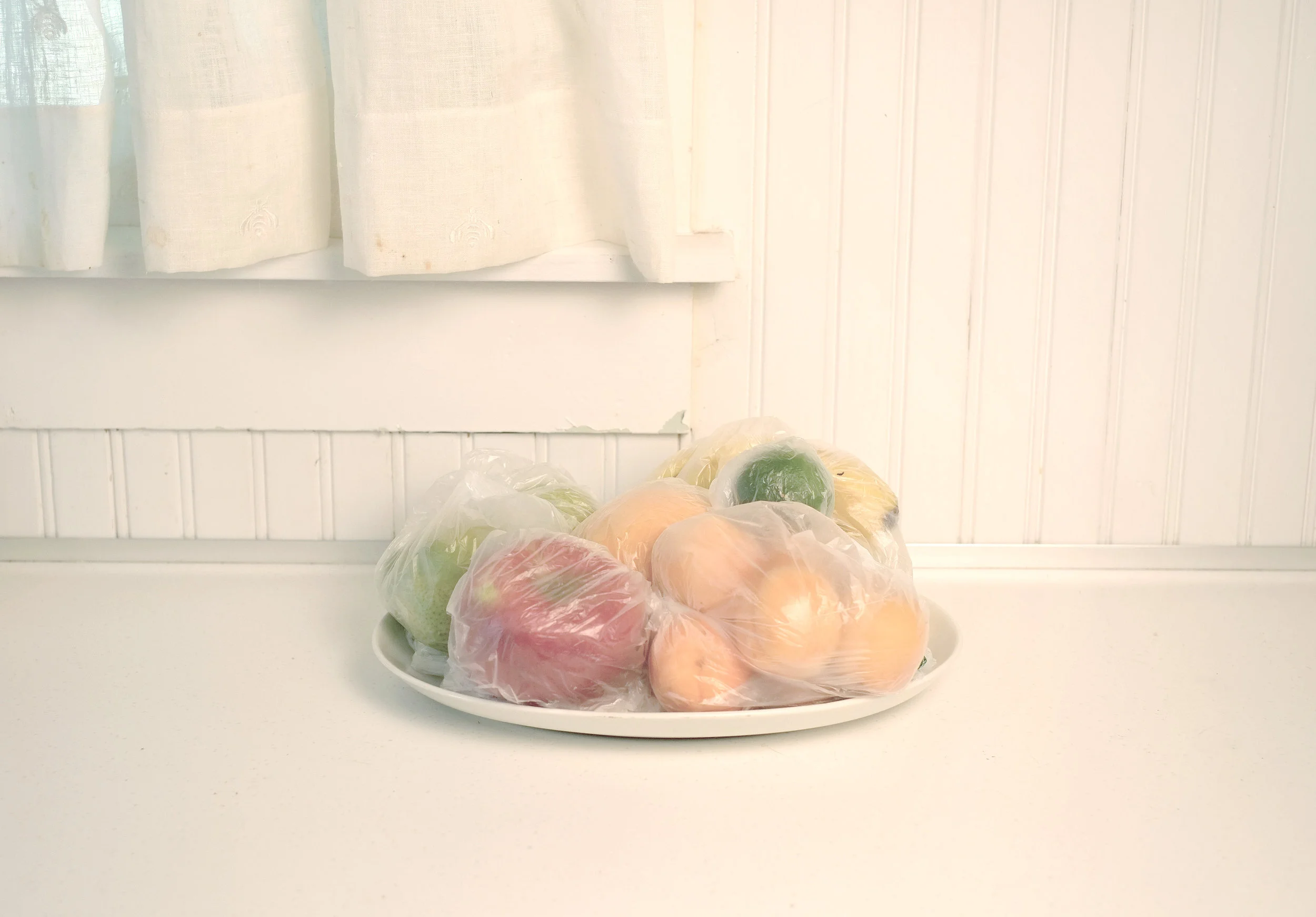 My Father's Still Life