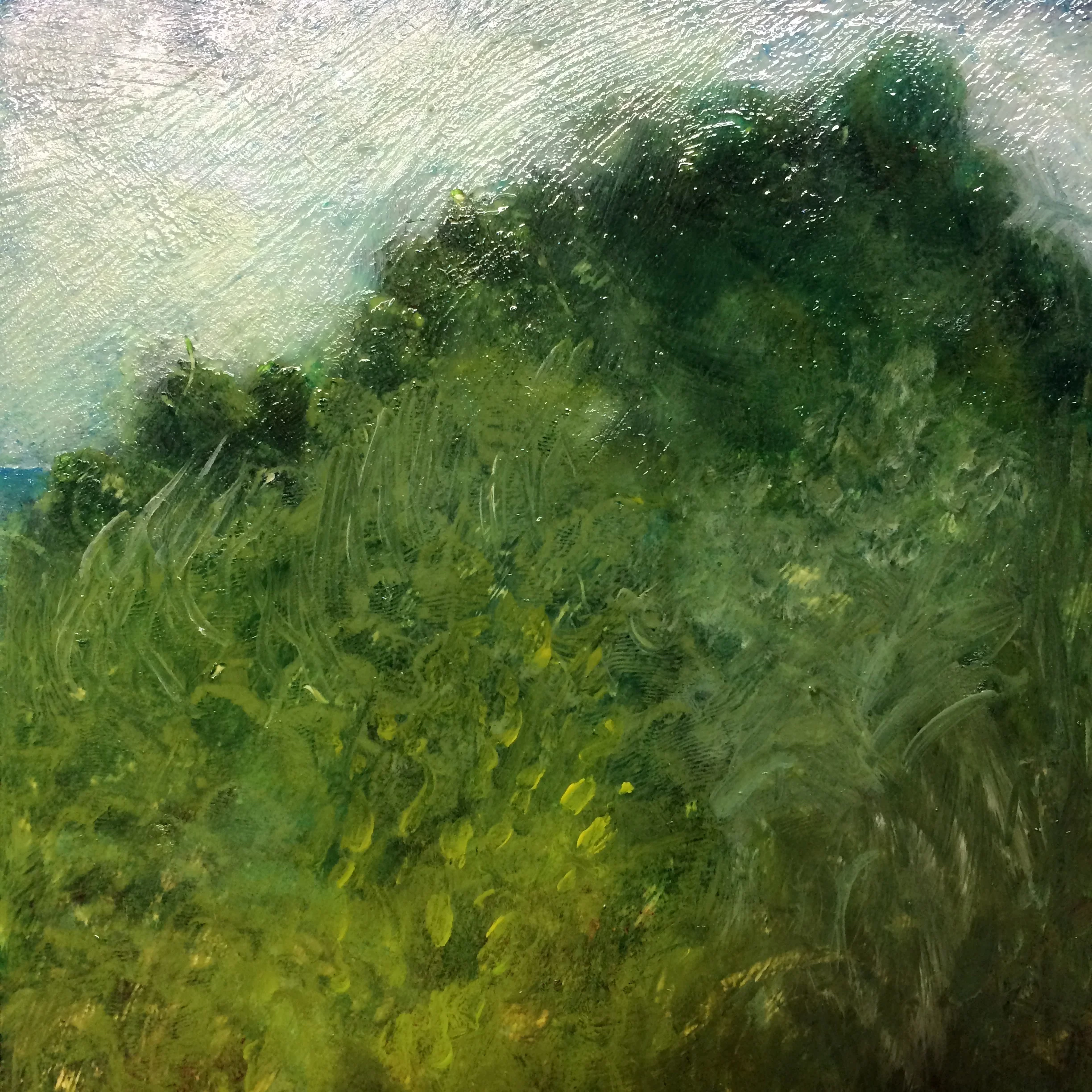 grass by the ocean.jpg