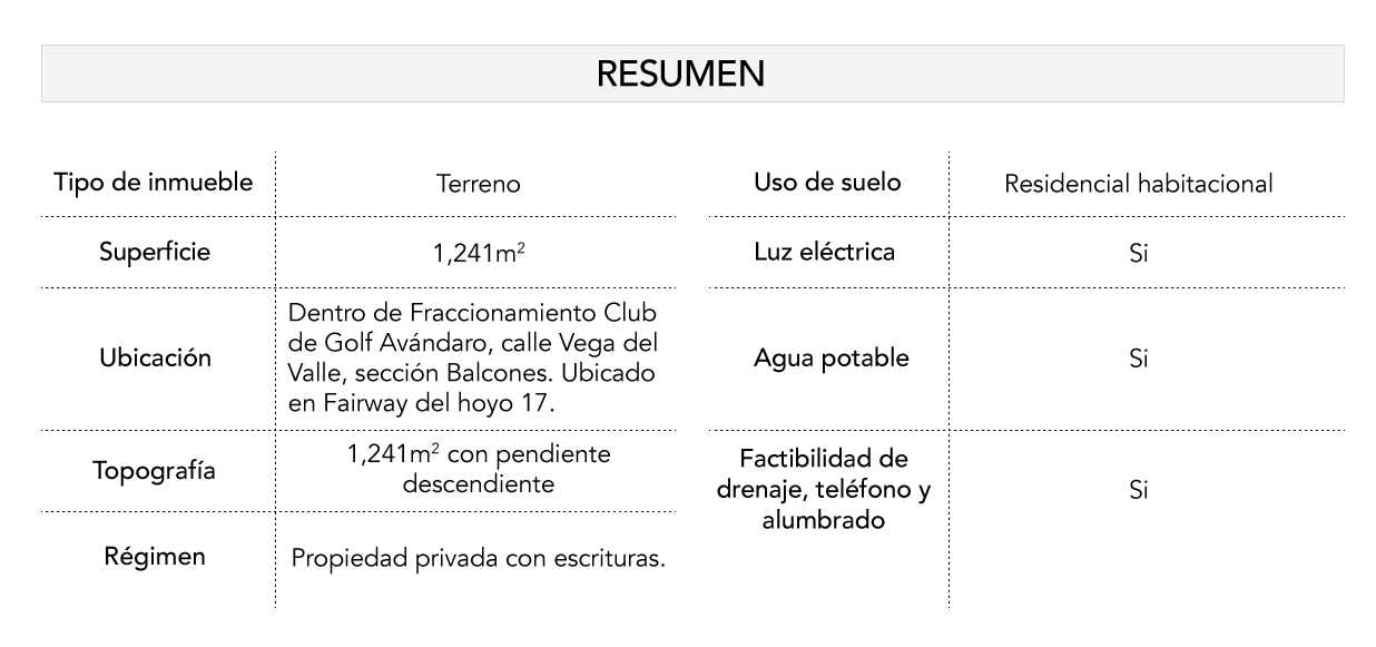 resumen_real_state_balcones.png
