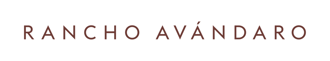 AV_logos-04.png