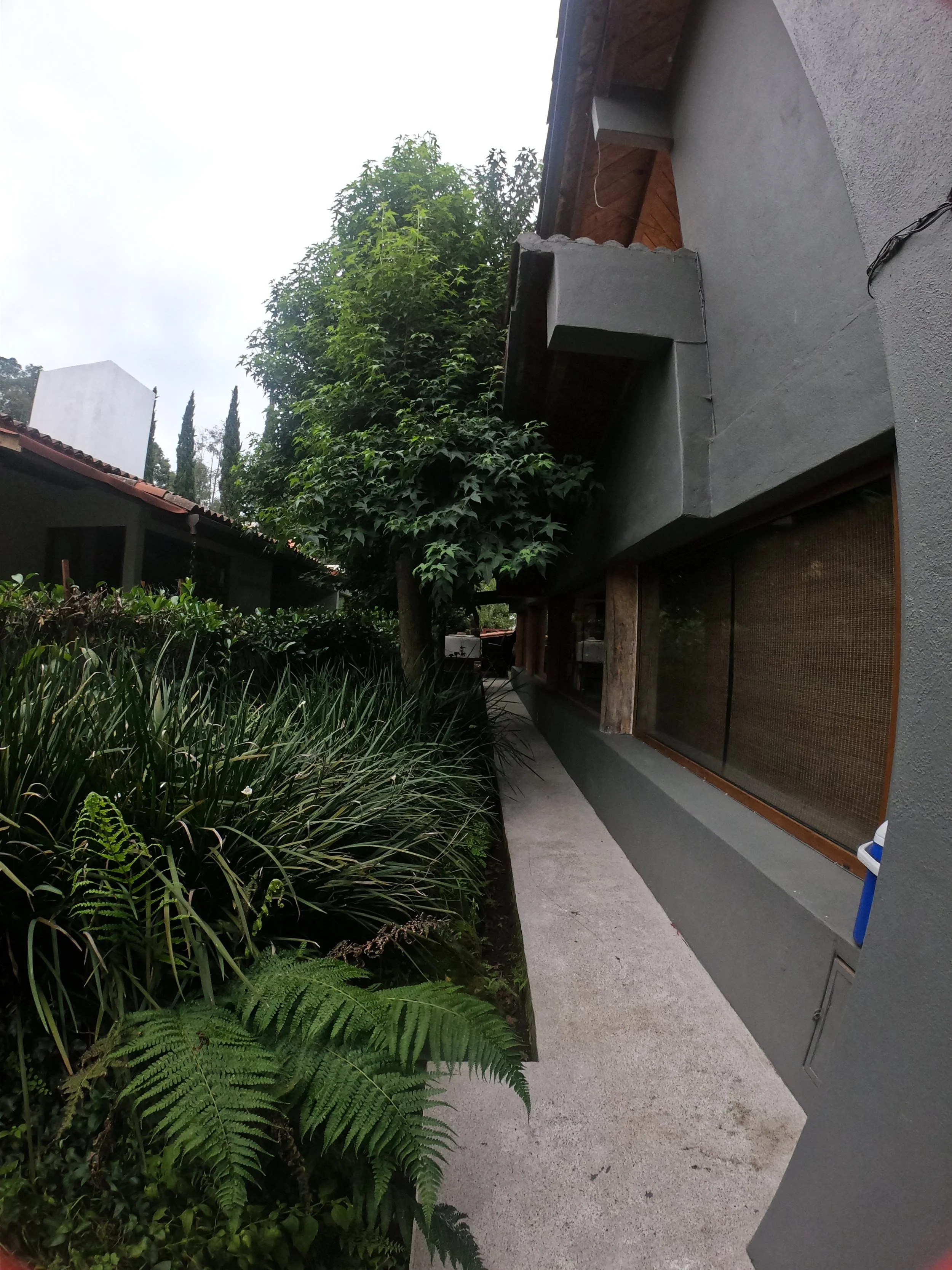 GPTempDownload 5.JPG