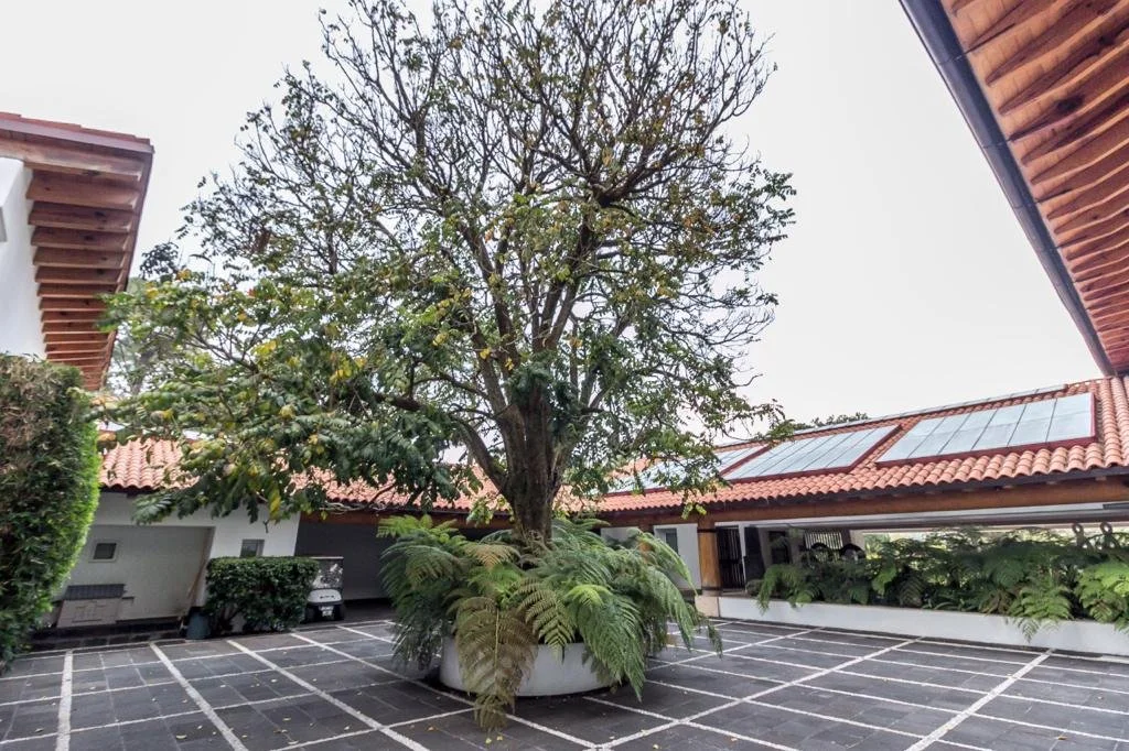 WhatsApp Image 2021-10-29 at 10.17.30 AM (4).jpeg