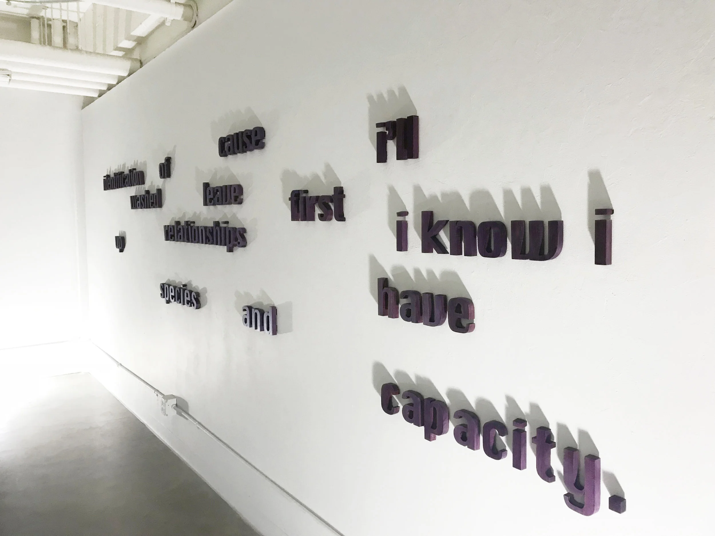 Untitled (i know i have capacity) 2017 purple heart, sound dimensions variable