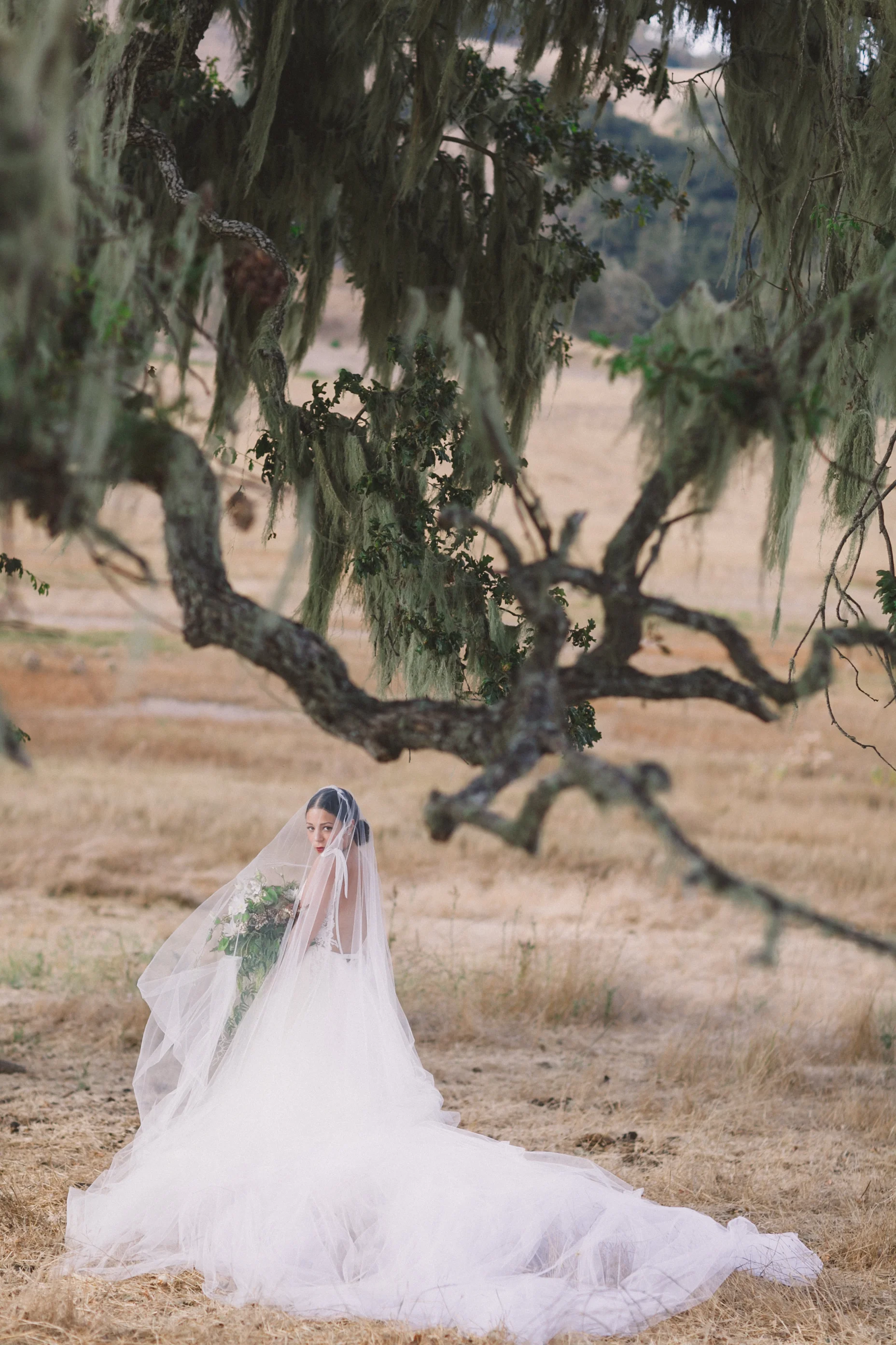 JENNIFER-SKOG-dane-nate-santa-lucia-preserve-wedding-1216.jpg