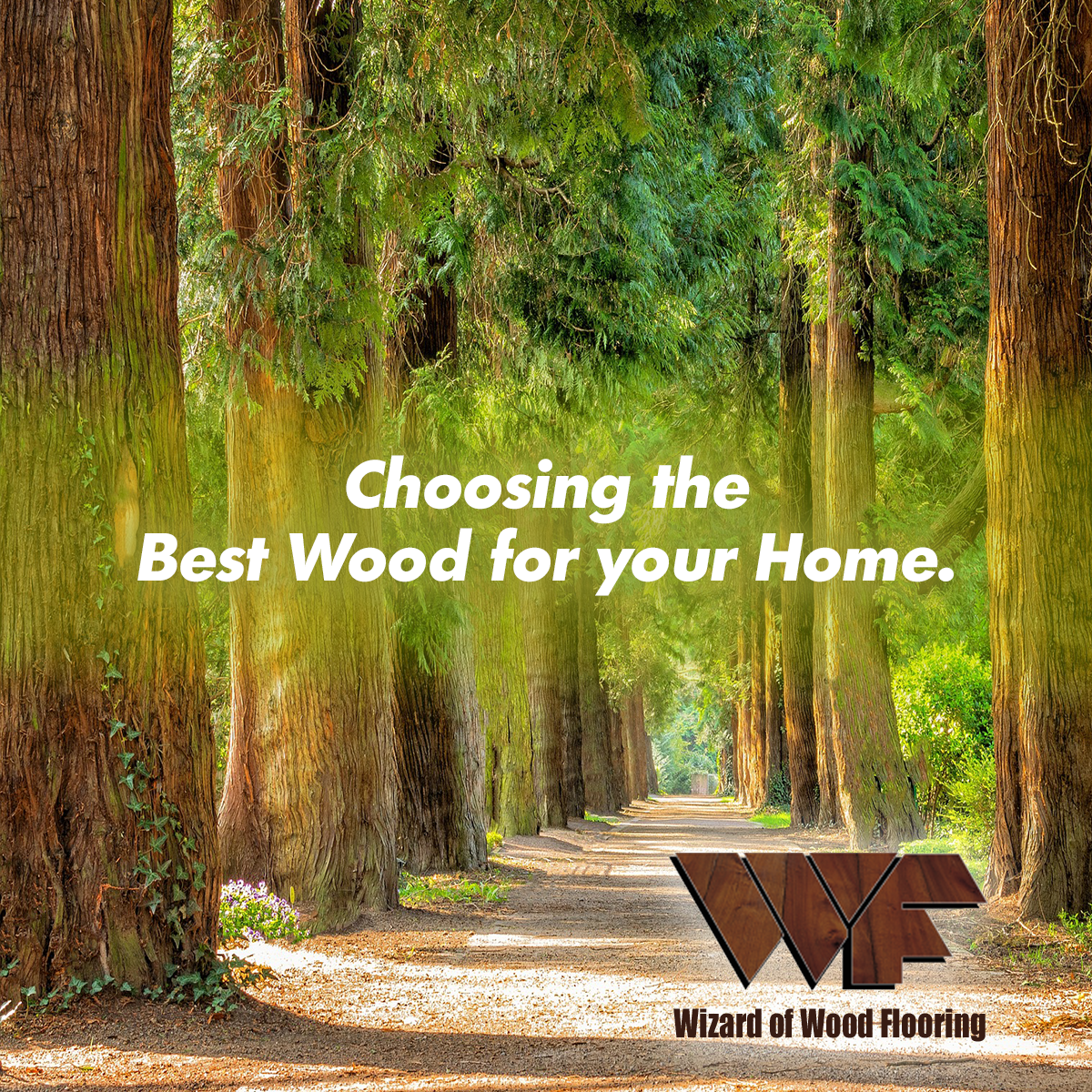 Choosing the Best Wood Flooring Species for Your Home: A Comprehensive Guide