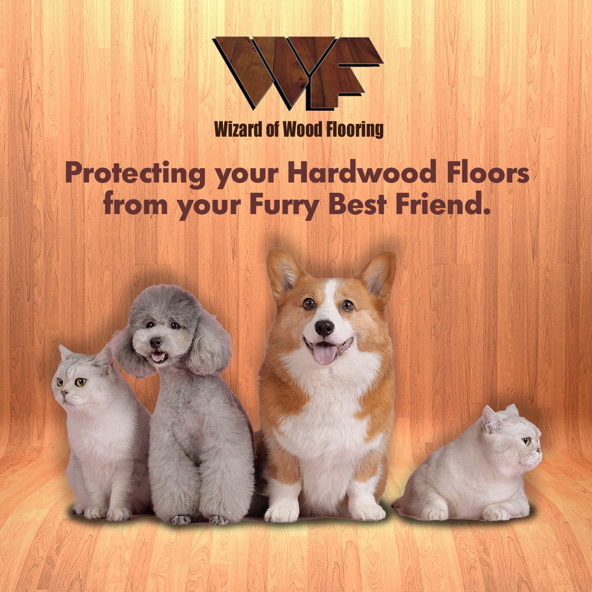 Protecting your Hardwood Floors from your Furry Best Friend