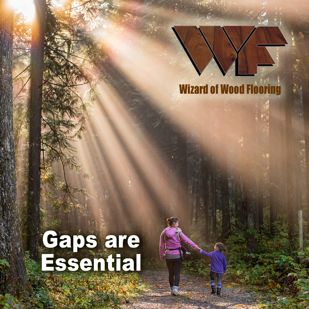 Why Gaps in Hardwood Floors are Essential