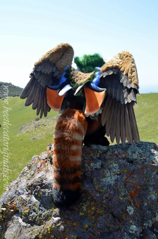 panduck7.jpg
