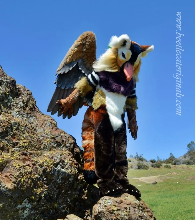 panduck8.jpg
