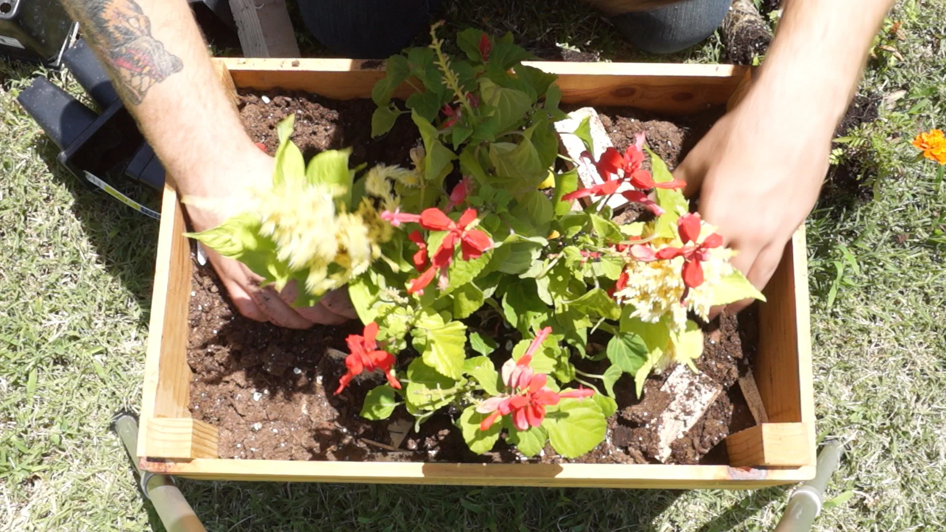 DIY WINE BOX PLANTER — Modern Builds