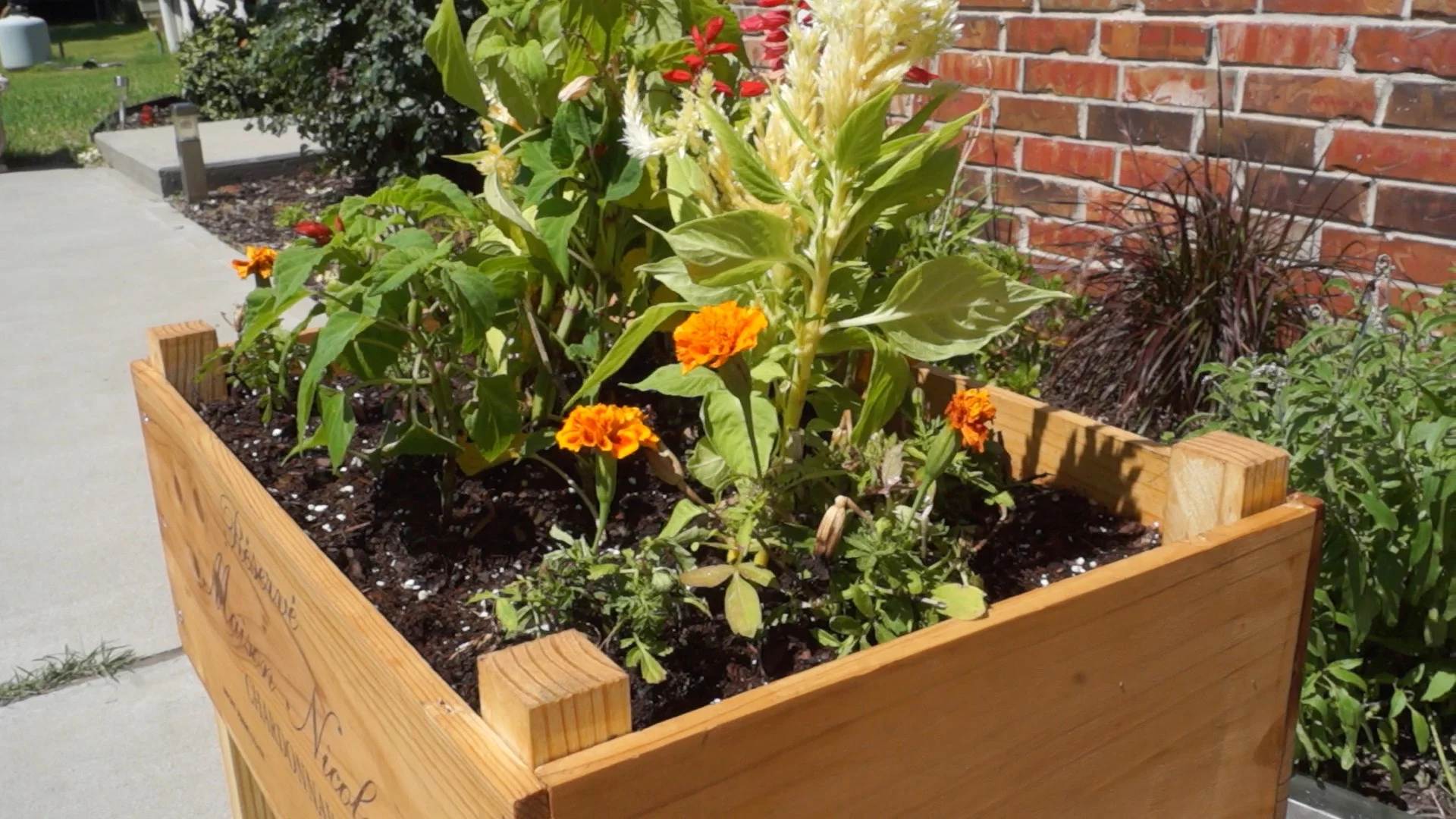 DIY WINE BOX PLANTER — Modern Builds