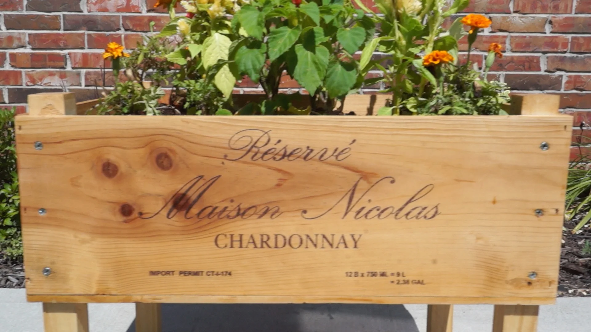 DIY WINE BOX PLANTER — Modern Builds