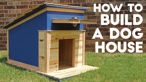 How to Build a Dog House Out of Pallets: Easy, Affordable DIY Guide