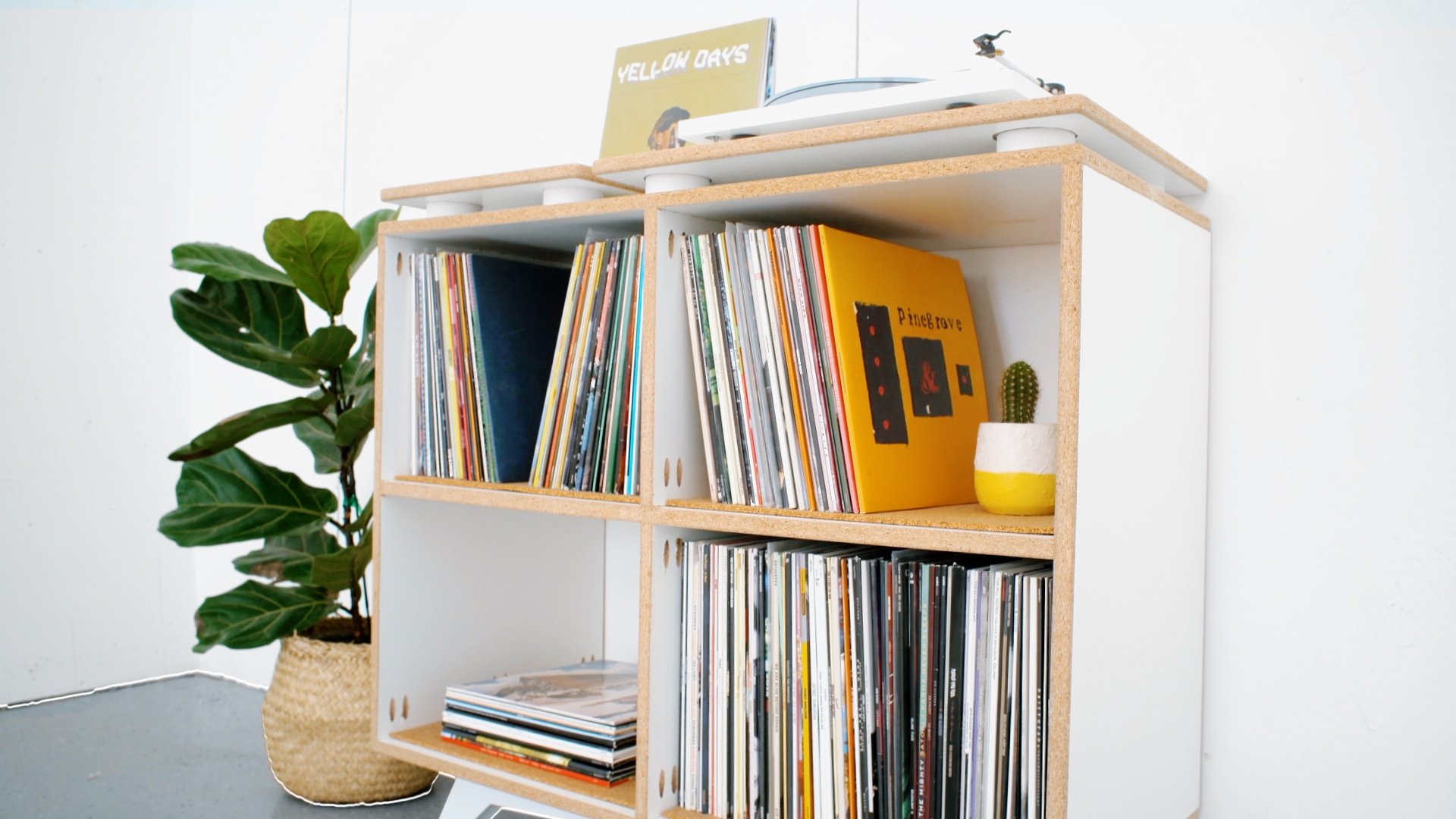 VINYL RECORD CABINET