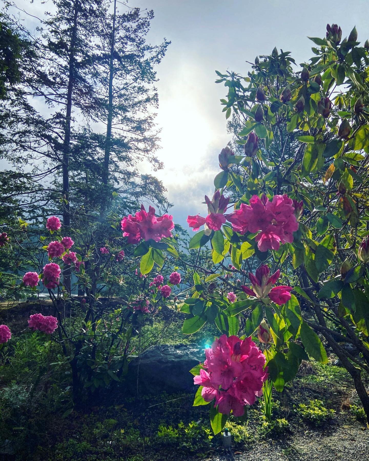 We are so grateful for these beautiful island summer days, they are filled with magic. We&rsquo;d love for you to come get lunch, visit our spa, browse our shops, take a walk, see our beautiful gardens and spend the afternoon watching seaplanes and b