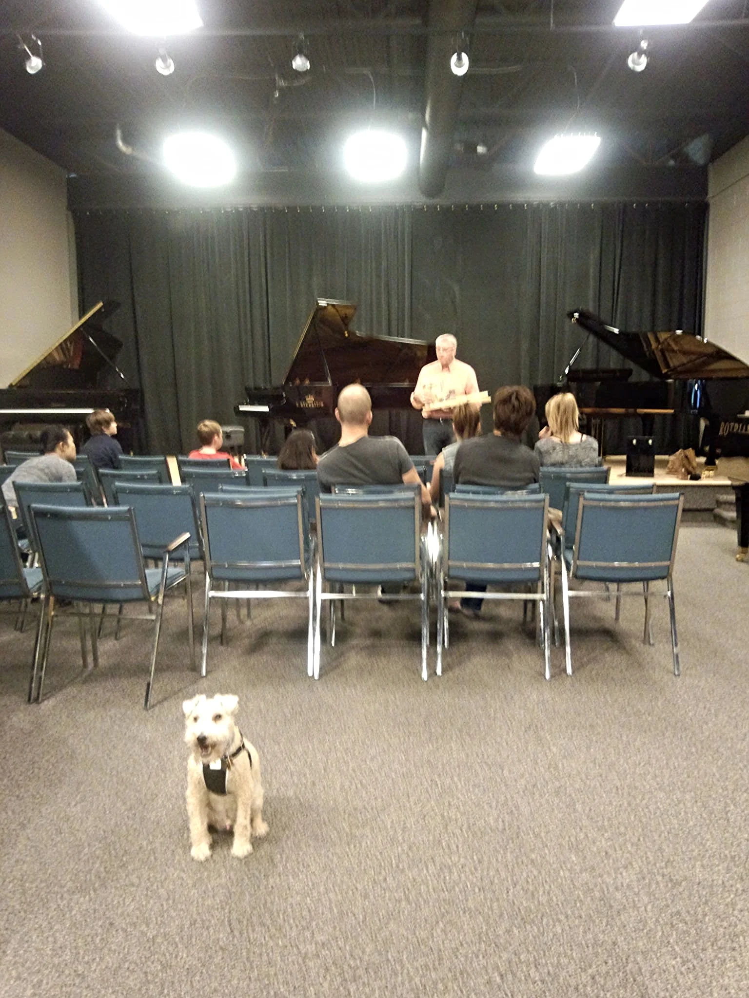 Maestro on Duty