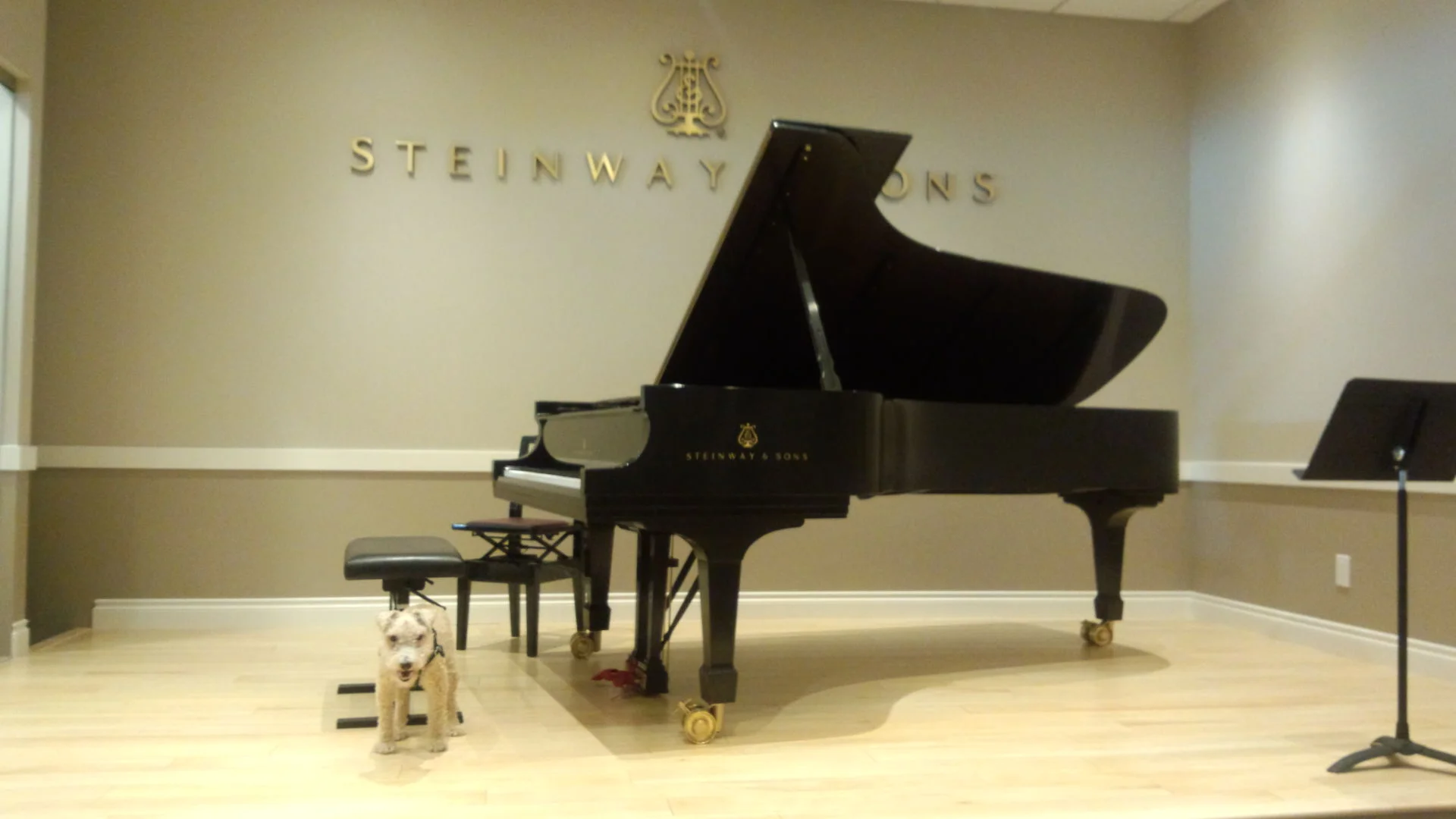 The Kuniisii Steinway