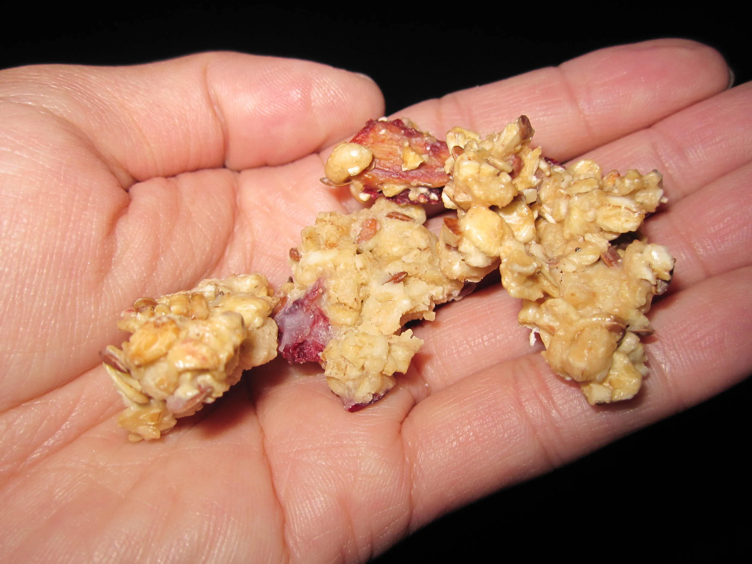 Wholesome Dog Treat Recipe