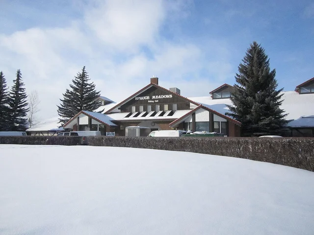 Dog Walks at Spruce Meadows