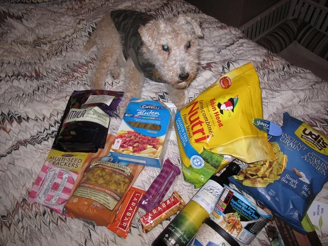 Gluten Free Food for Dogs