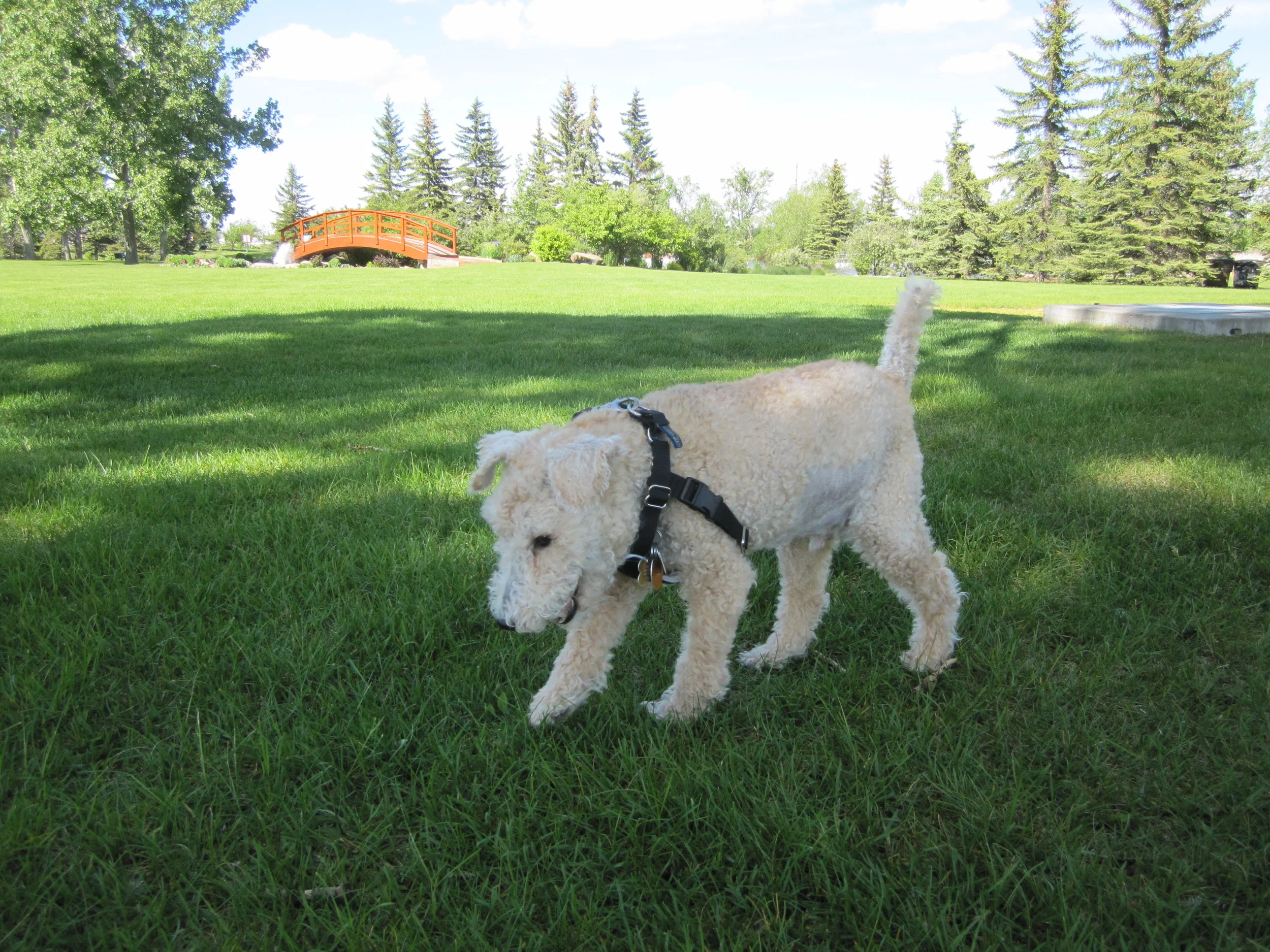 Visiting Spruce Meadows