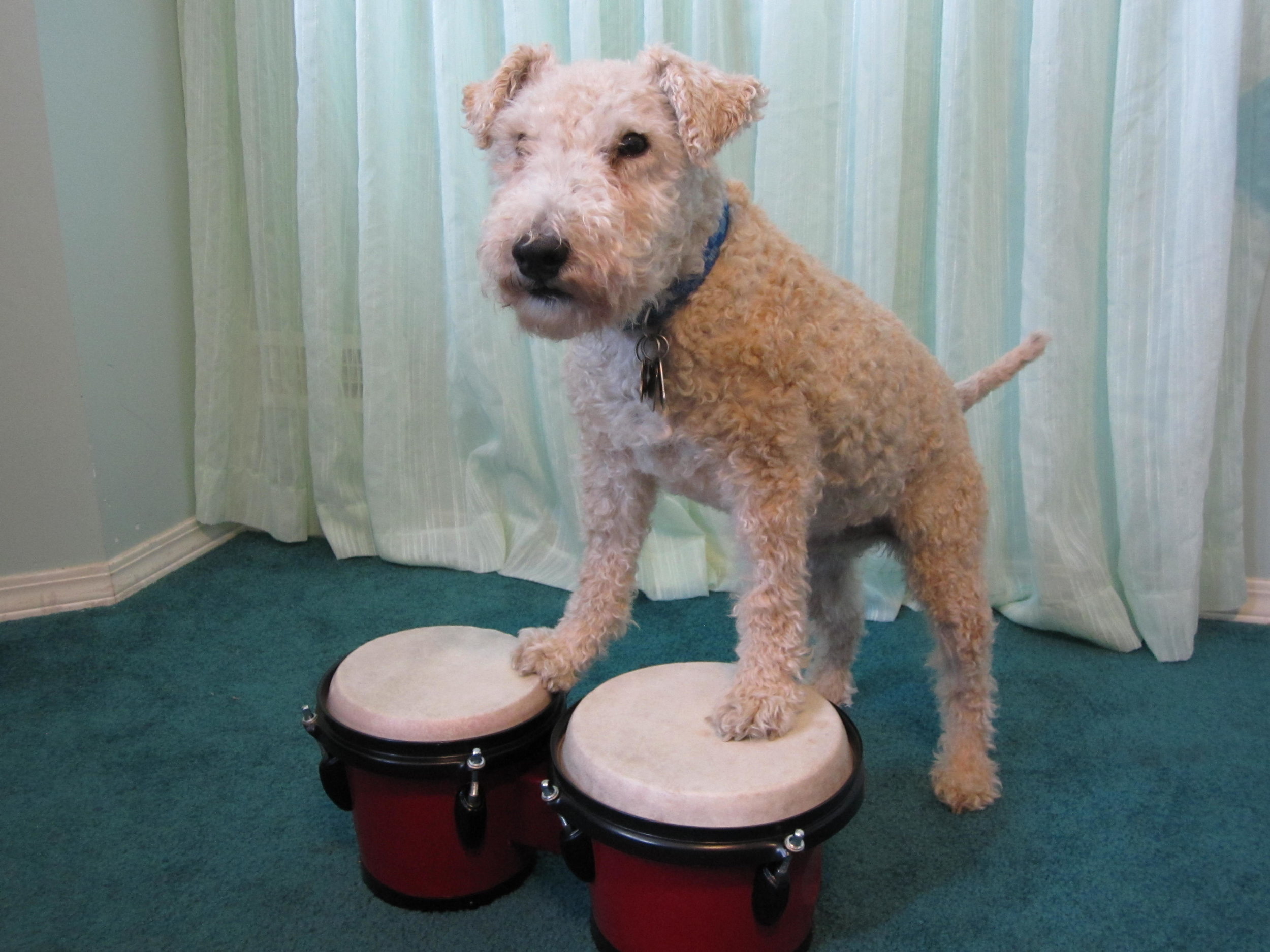 My Season of Firsts: The Grief Journey So Far