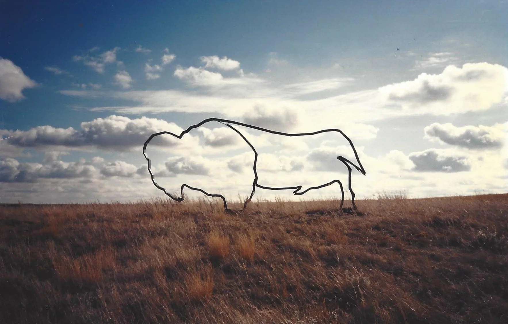 Mr. Buffalo helped me ground myself before performing in master classes and recitals. Credit: Rhona-Mae Arca. 