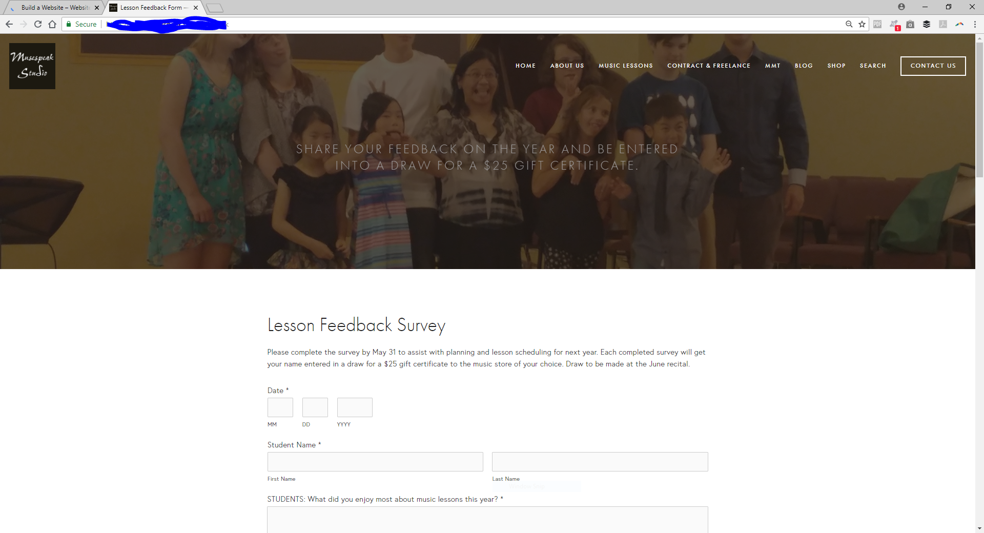 Getting Lesson Feedback