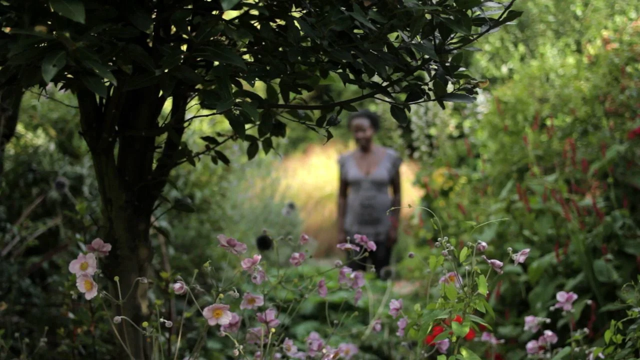 Garden.jpg
