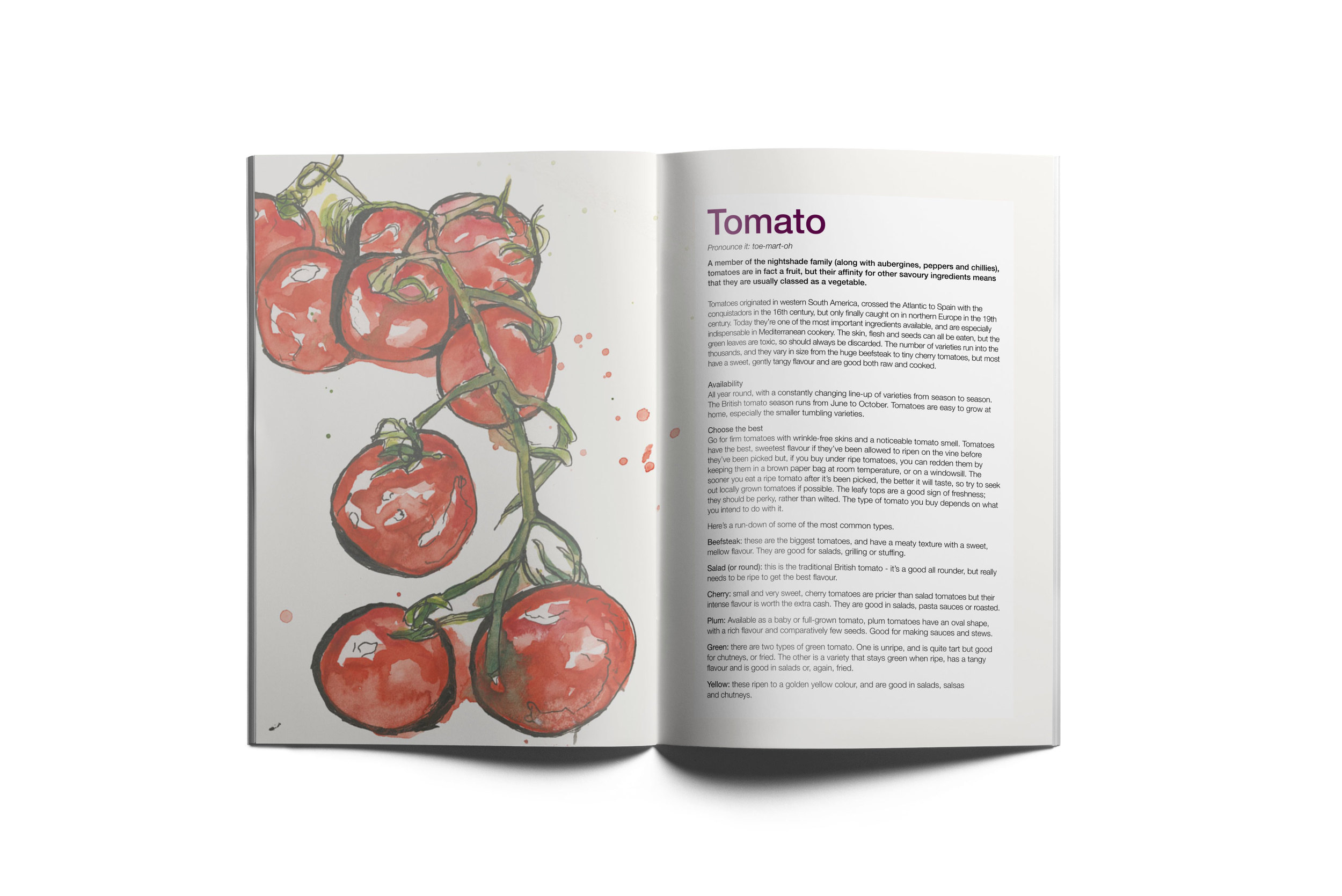 Branding_Comida03.jpg