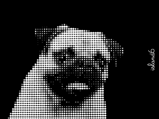 Image113.-4 copy.gif