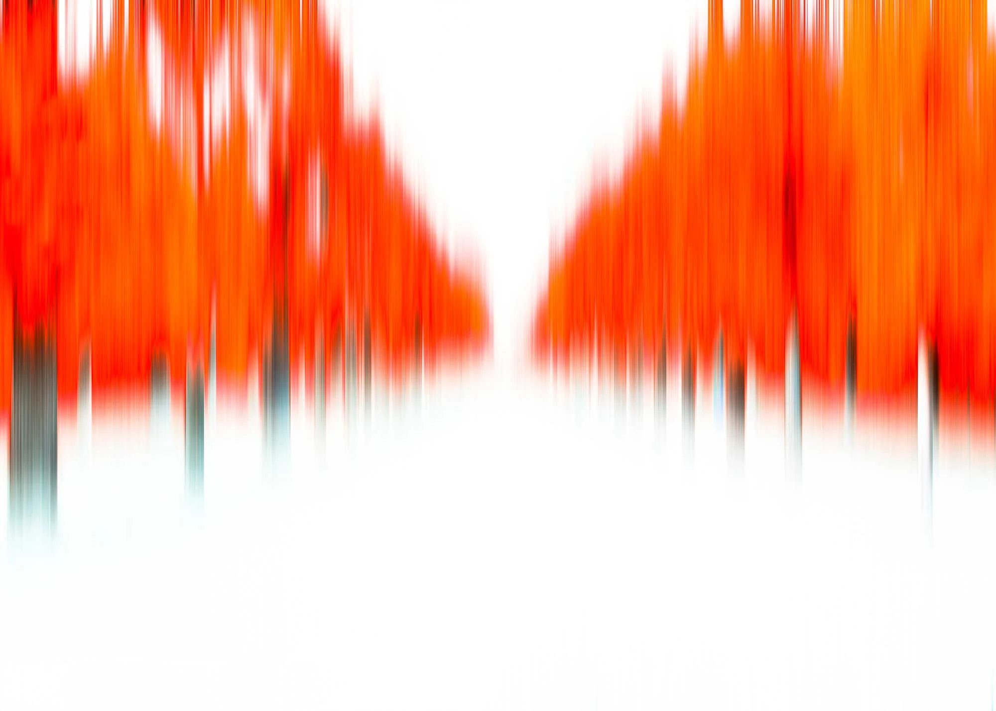 red-forest copy.jpg