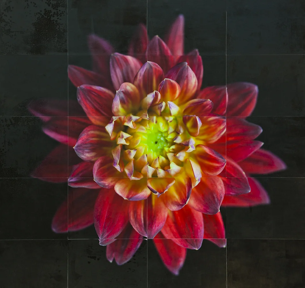 FLowerStudy copy.jpg