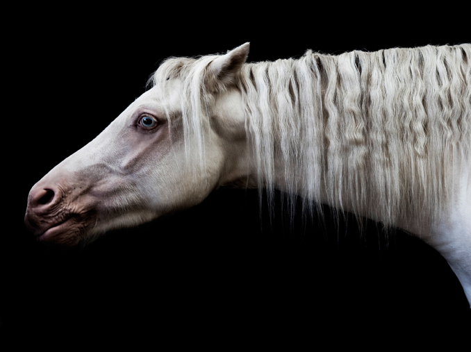 Screen Shot 2016-05-12 at 8.45.24 AM.png