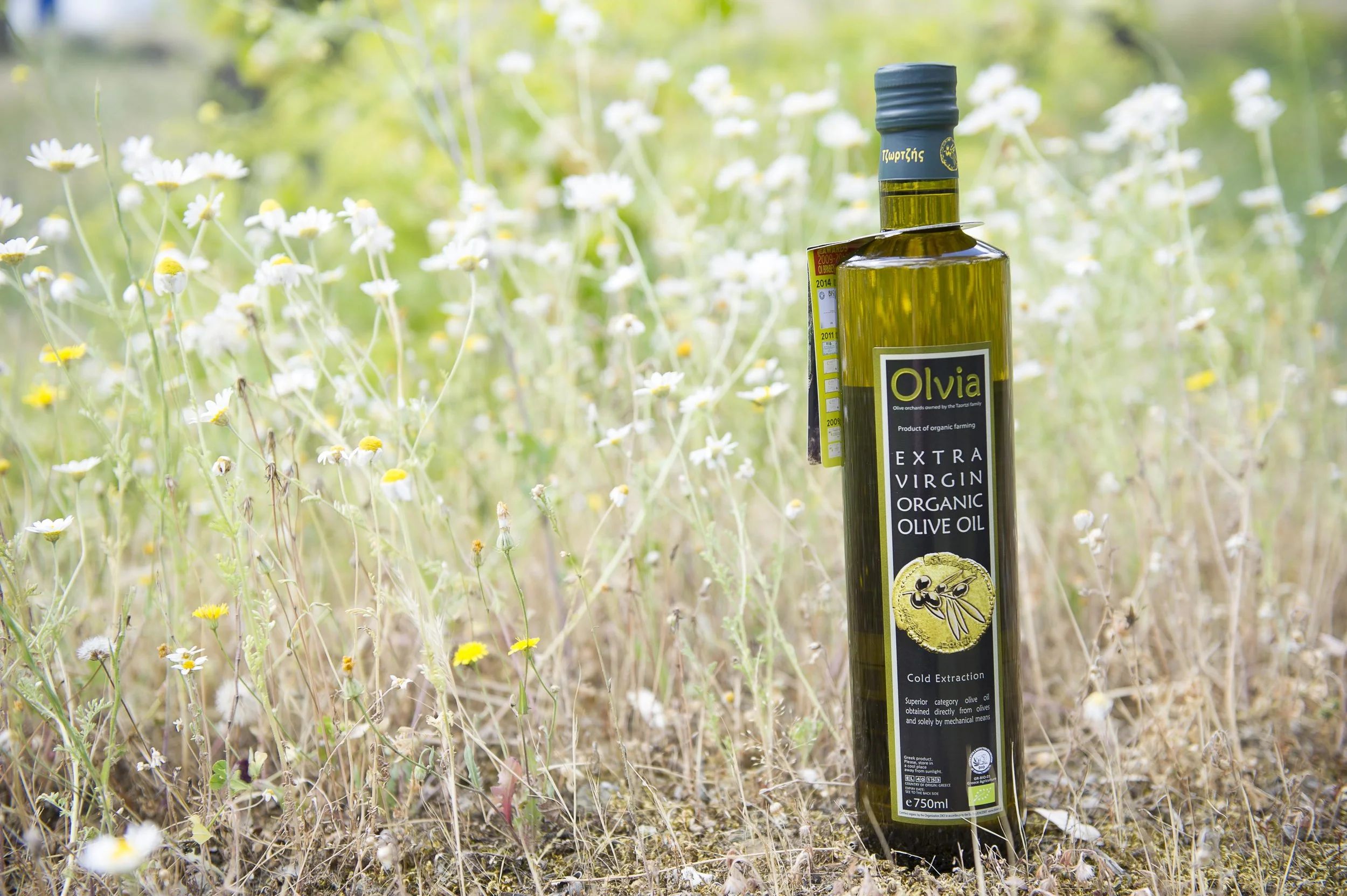 olive website-2.jpg