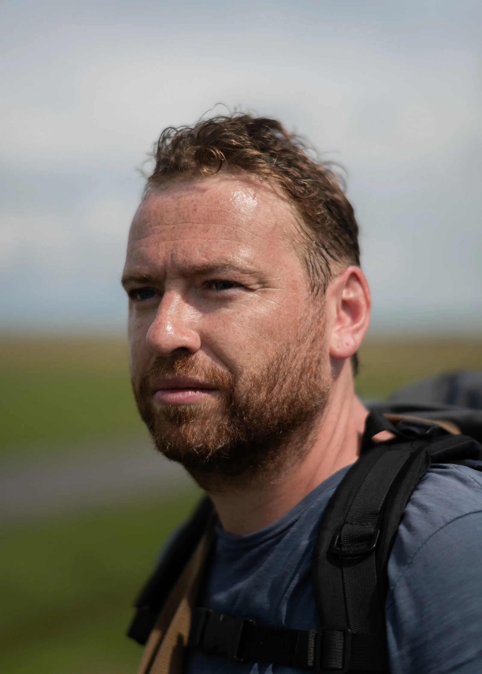 Paul Walsh - New Series