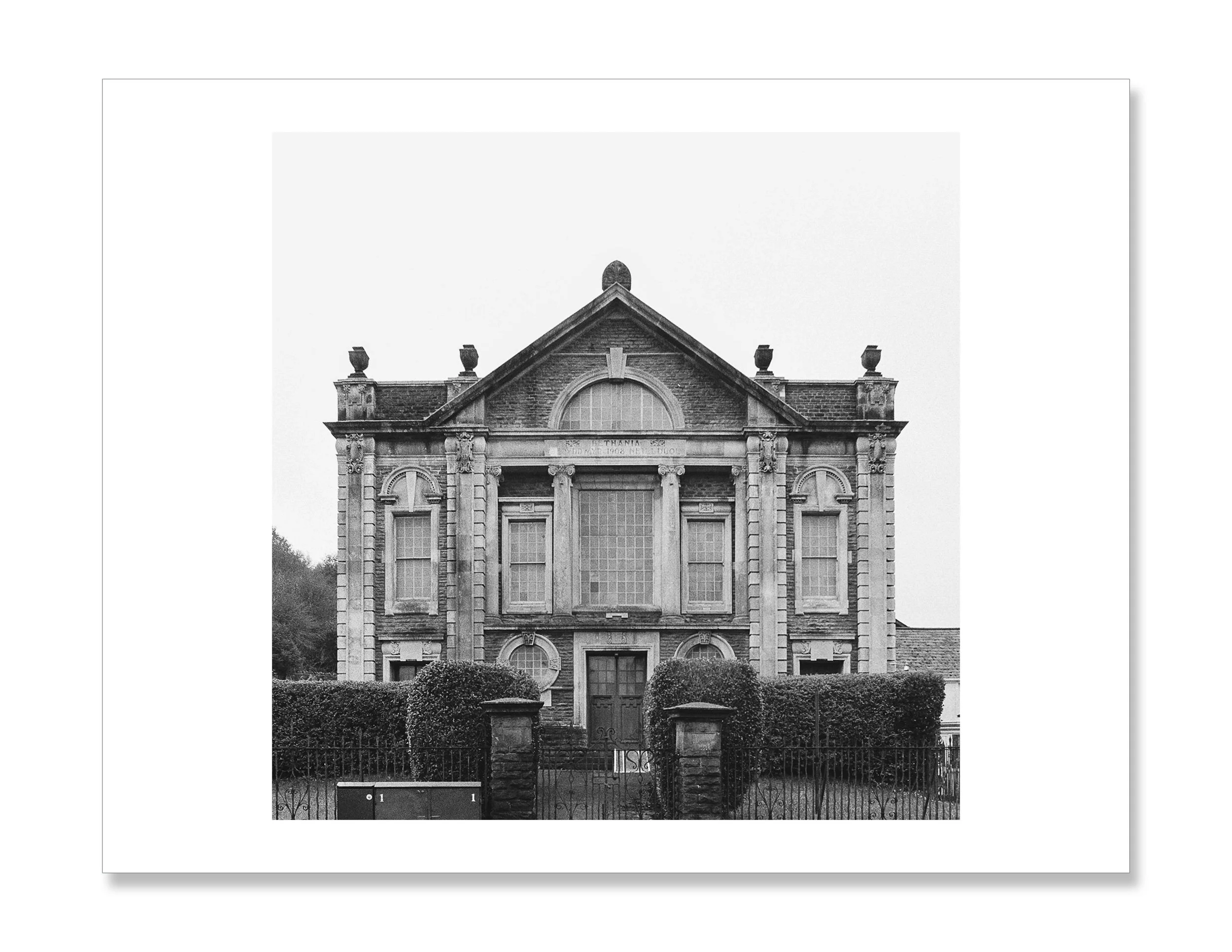 David Sterry Drop Shadow.jpg