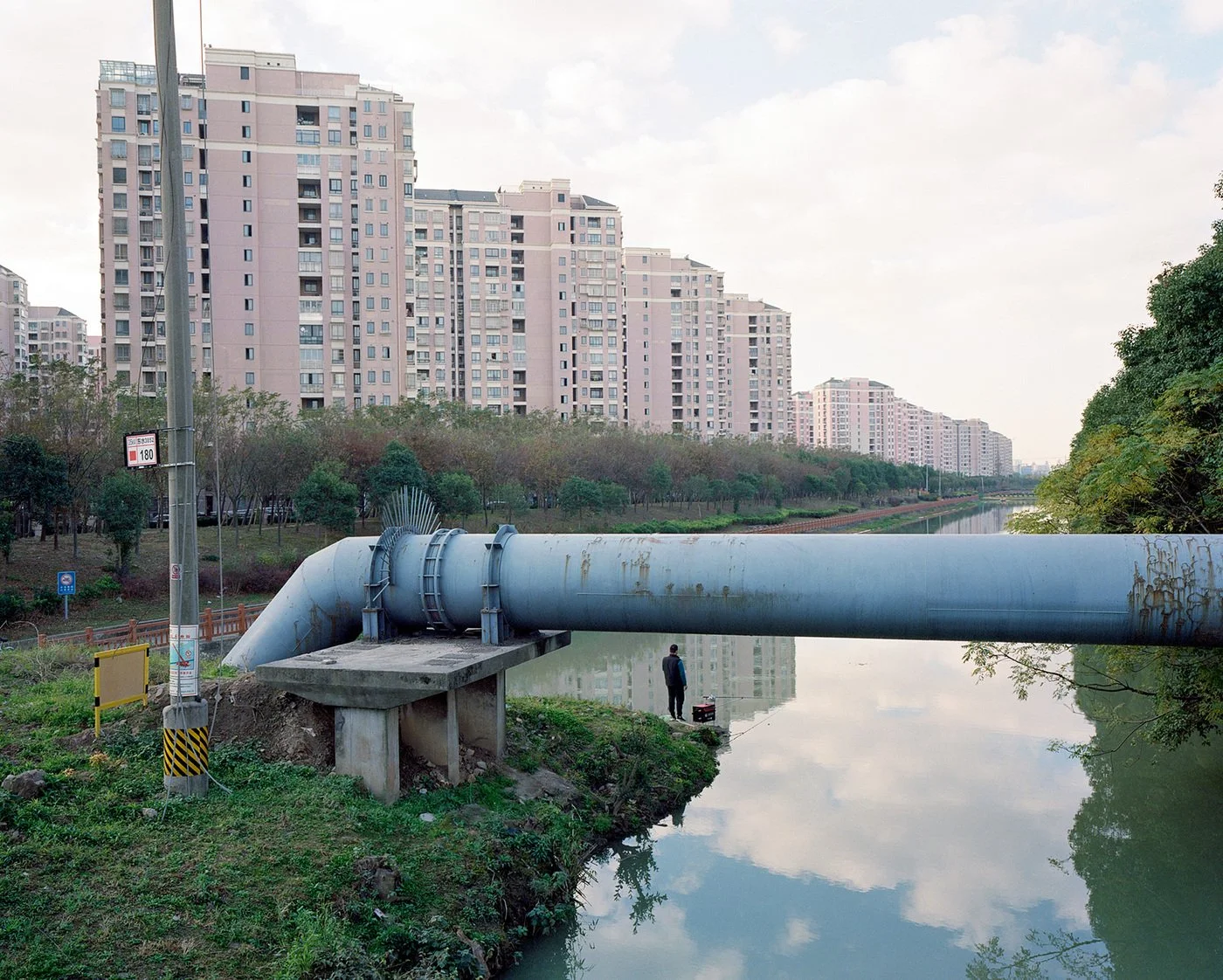 Guest Feature - Ralph Steinegger