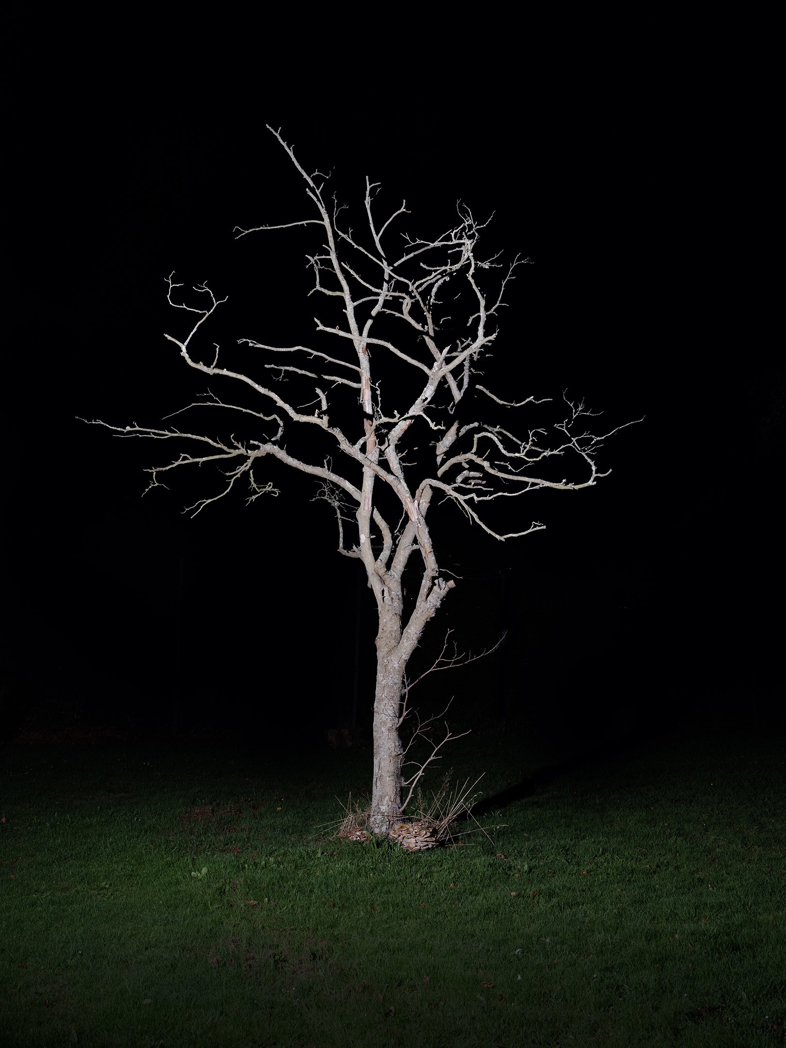 new th1 DSCF7495 copy 2.jpg